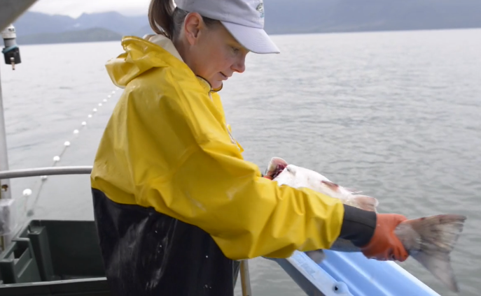 Expanding the Notion of Local